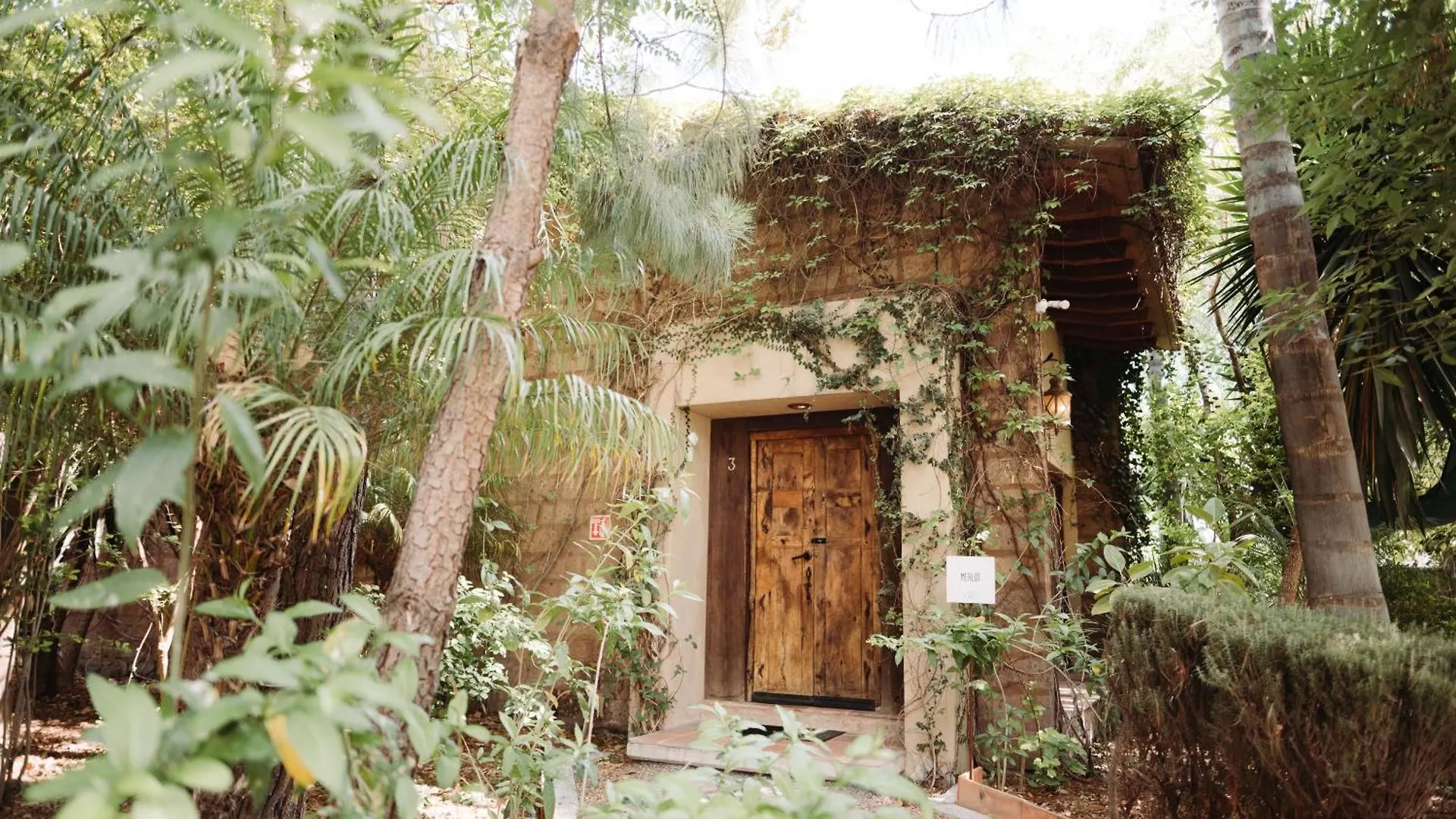***  Maria & Bernardo Casa - Vinedo Bed & Breakfast El Coyote Mexico